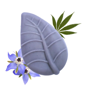 Balsamo Solido Borragine e Canapa