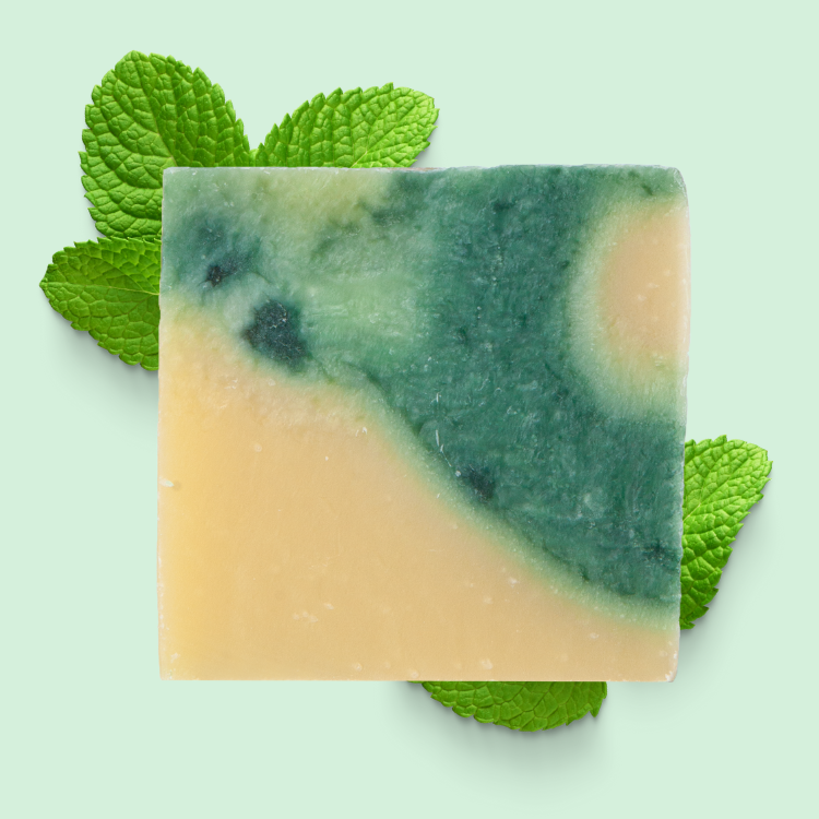 Sapone Biologico Mirto e Menta