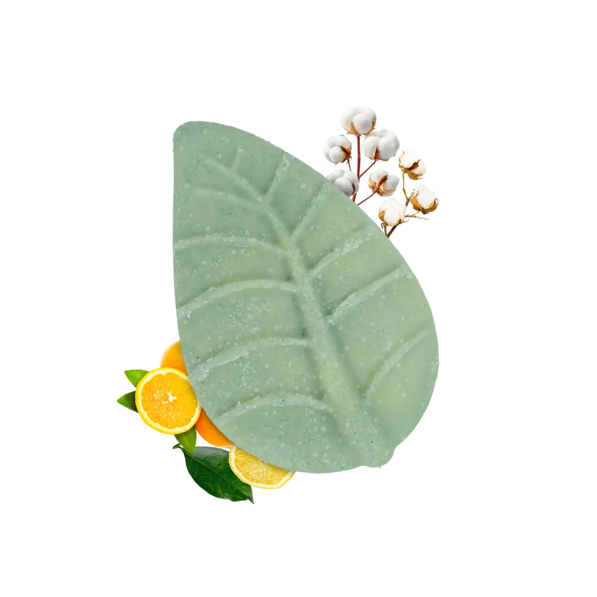 Crema corpo Agrumi e Cotone