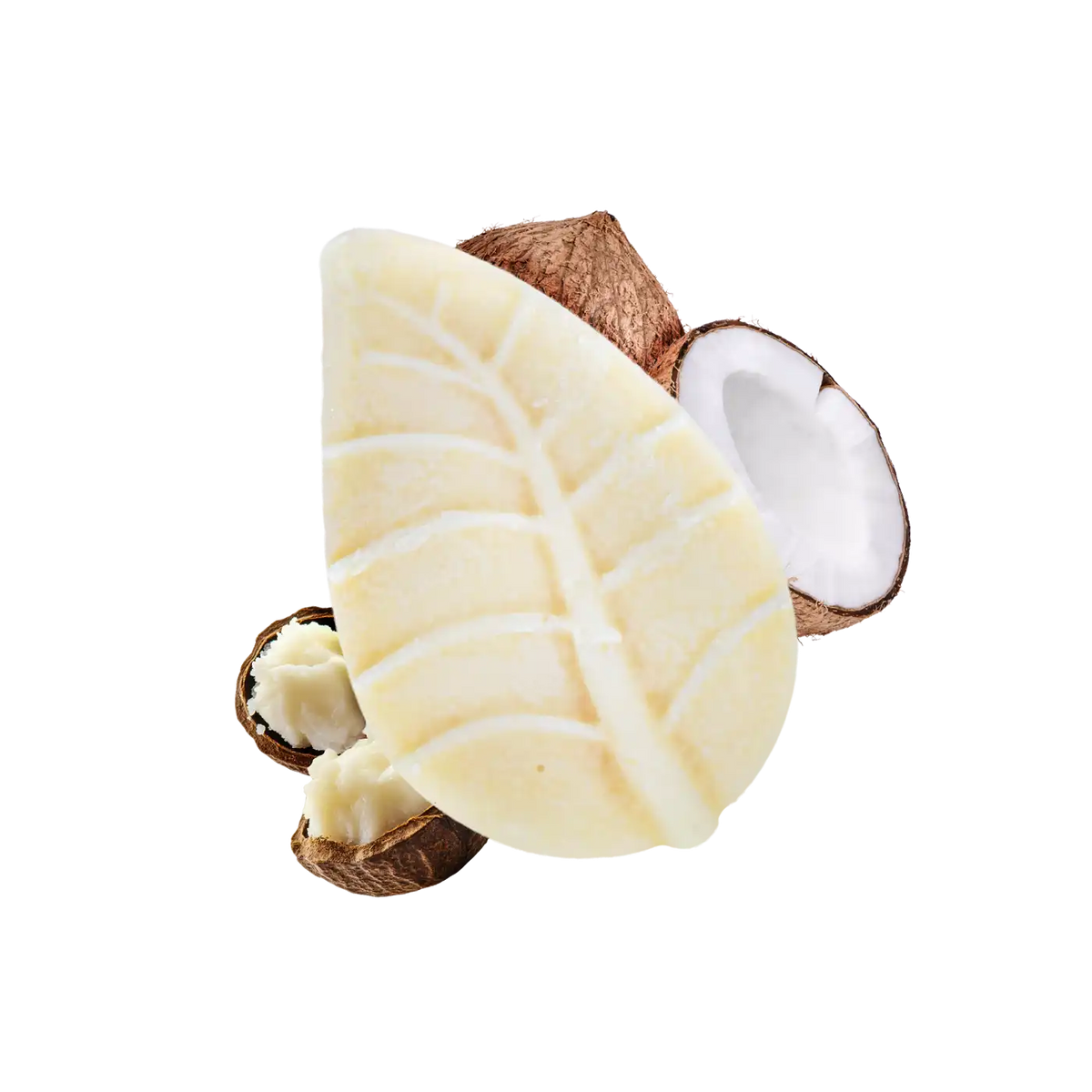Crema corpo Cocco e Macadamia