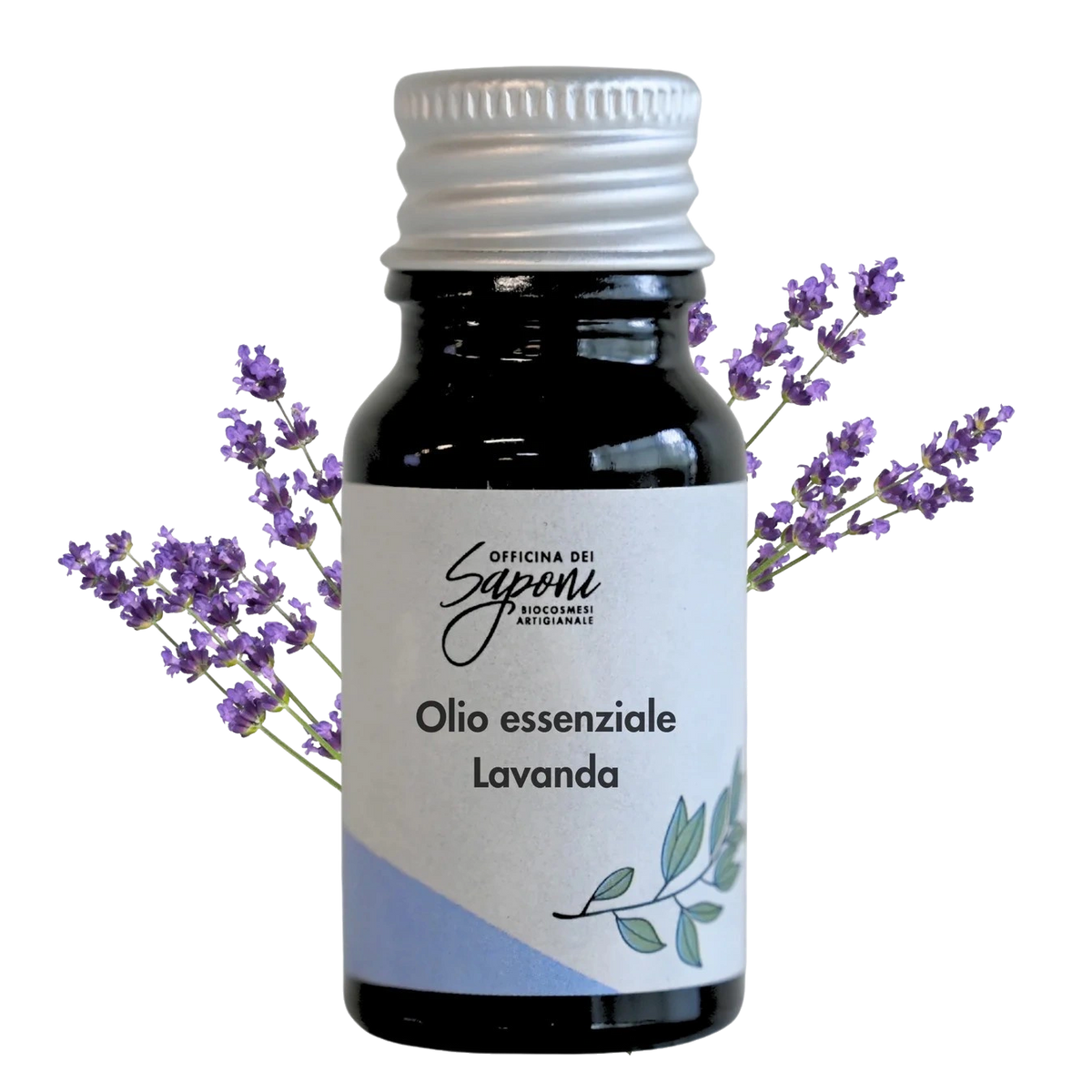 Lavanda