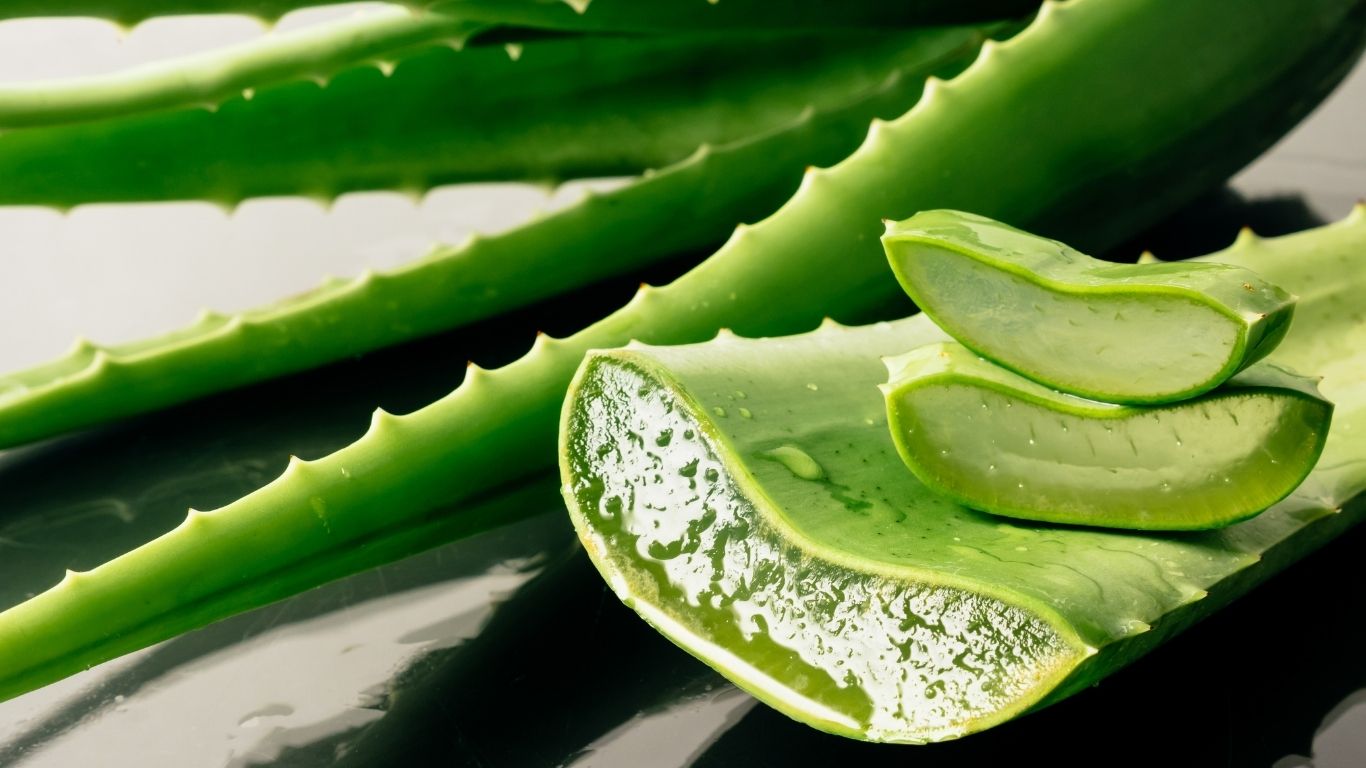 Aloe vera in cosmetica: i benefici reali su pelle e capelli