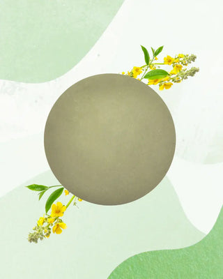 Docciaschiuma solido