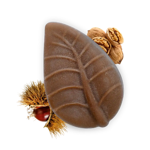 Balsamo Solido Castagna e Noce