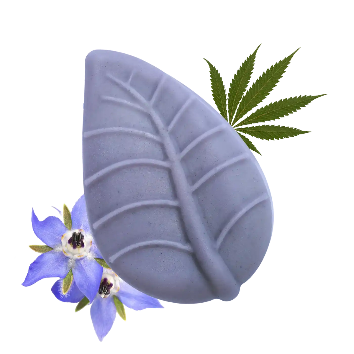 Balsamo Solido Borragine e Canapa