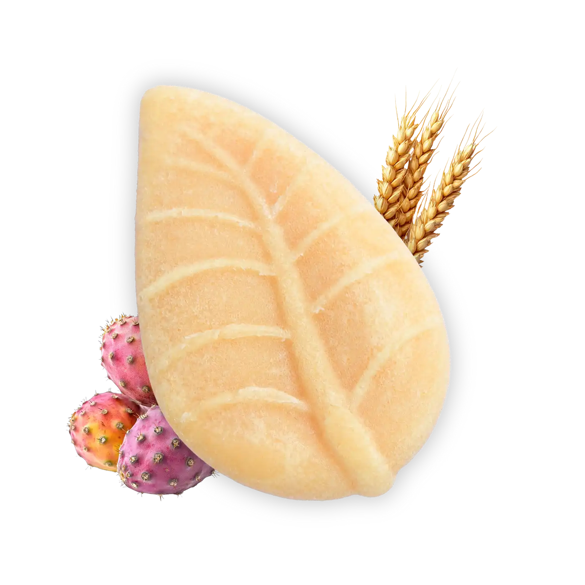 Shampoo Solido Avena e Fico d'India
