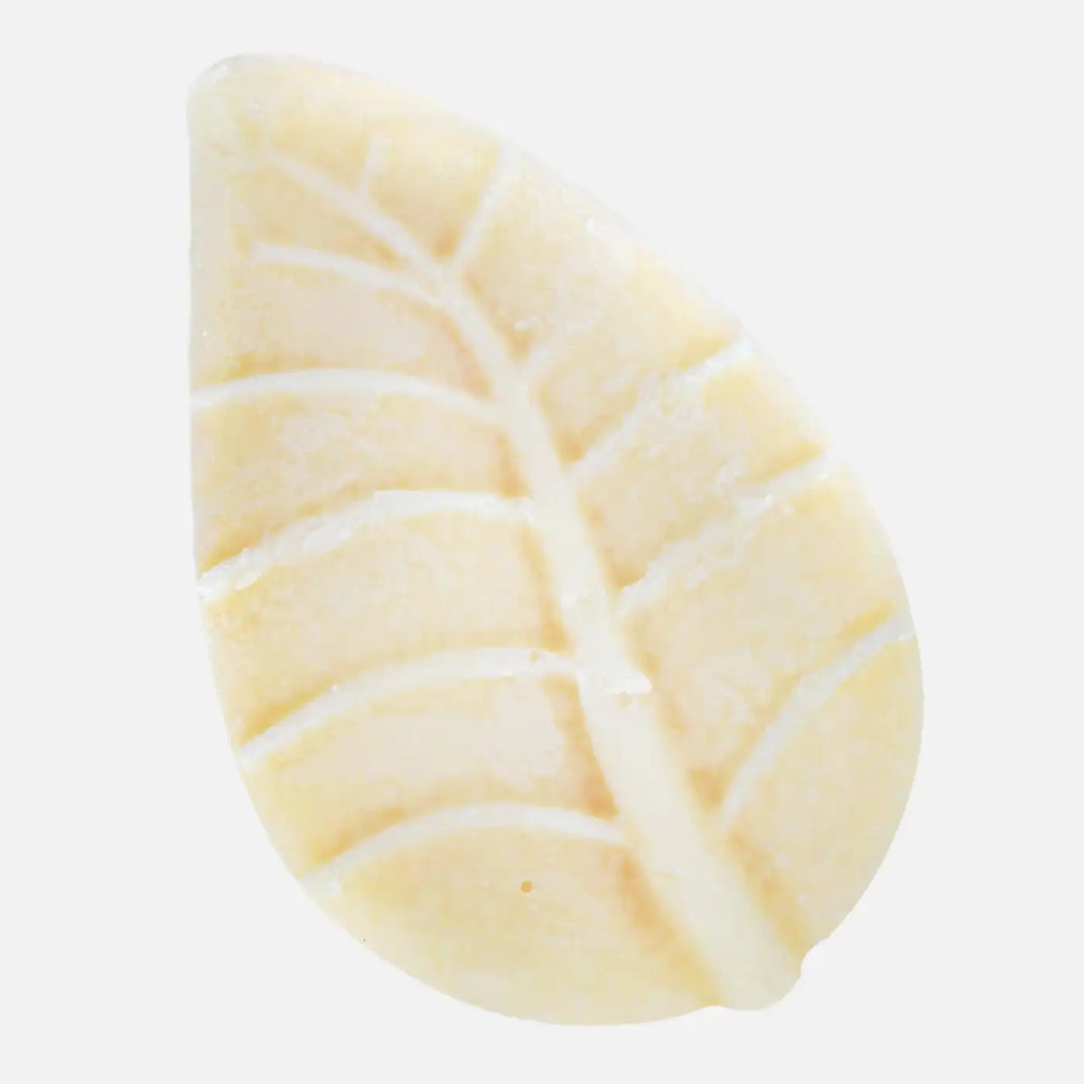 Crema corpo Cocco e Macadamia