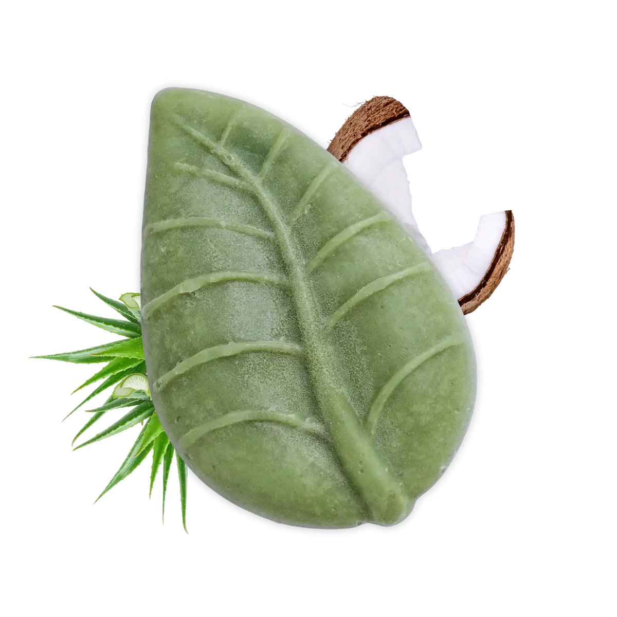 Shampoo solido Cocco e Aloe