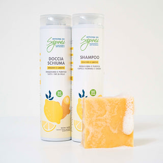 Kit Puliti Fuori e Belli Dentro shampoo zenzero+doccia + sapone