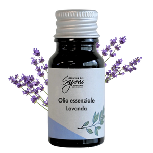 Lavanda