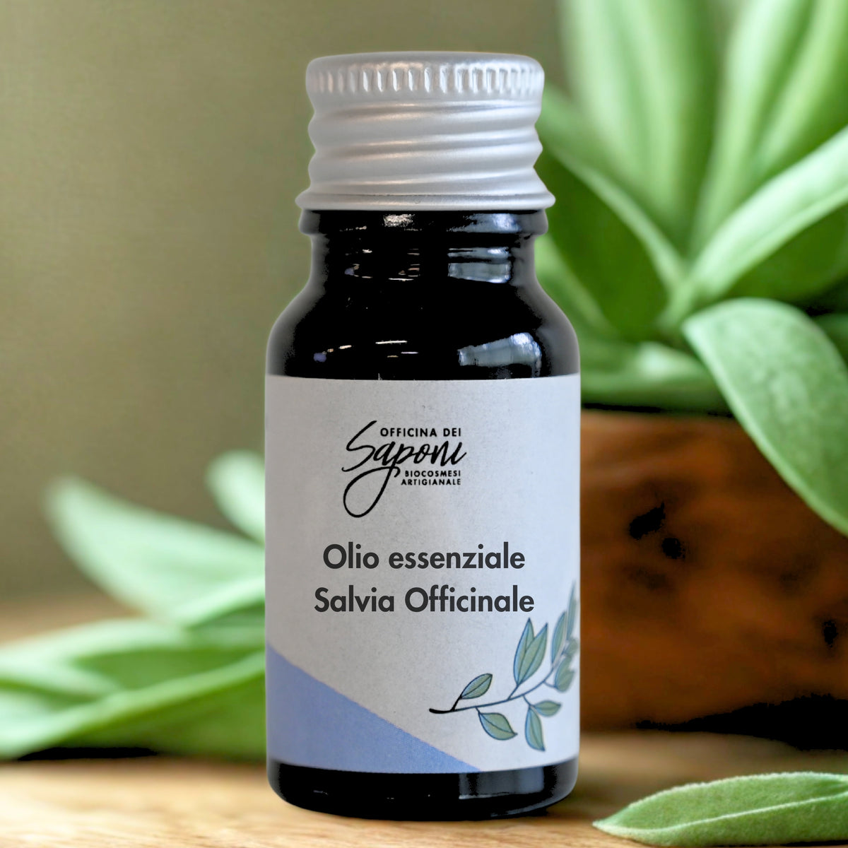 Salvia Officinale