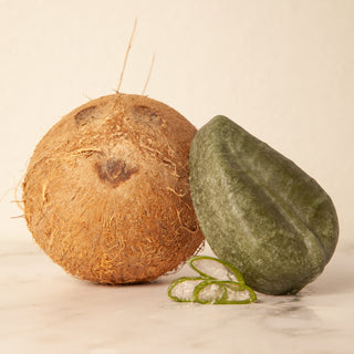 Shampoo solido Cocco e Aloe