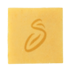 Sapone Biologico Zenzero e Limone